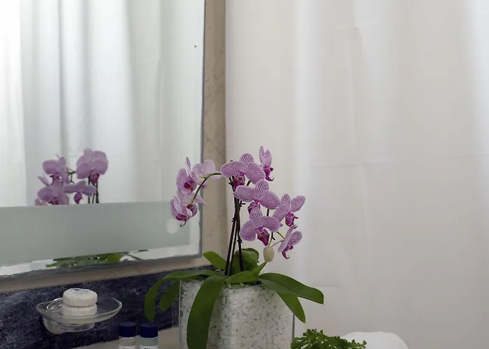 Oya Херсониссос